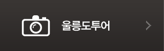 울릉도투어